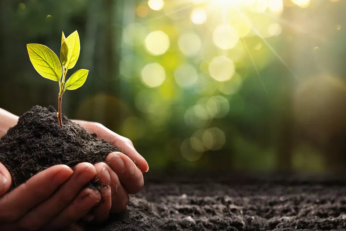 Sustainable cooking? Yes, we can!